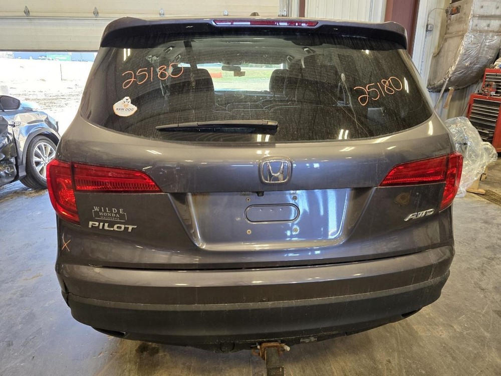 PILOT 2017 Jack 1552265