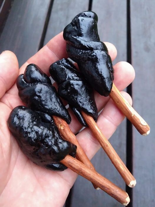 Birch tar glue/stone age glue 20g