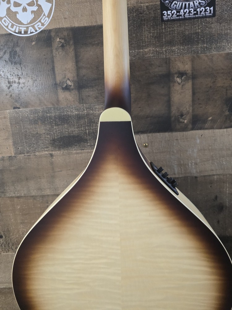 Mcneela ElectroMandolin Clean