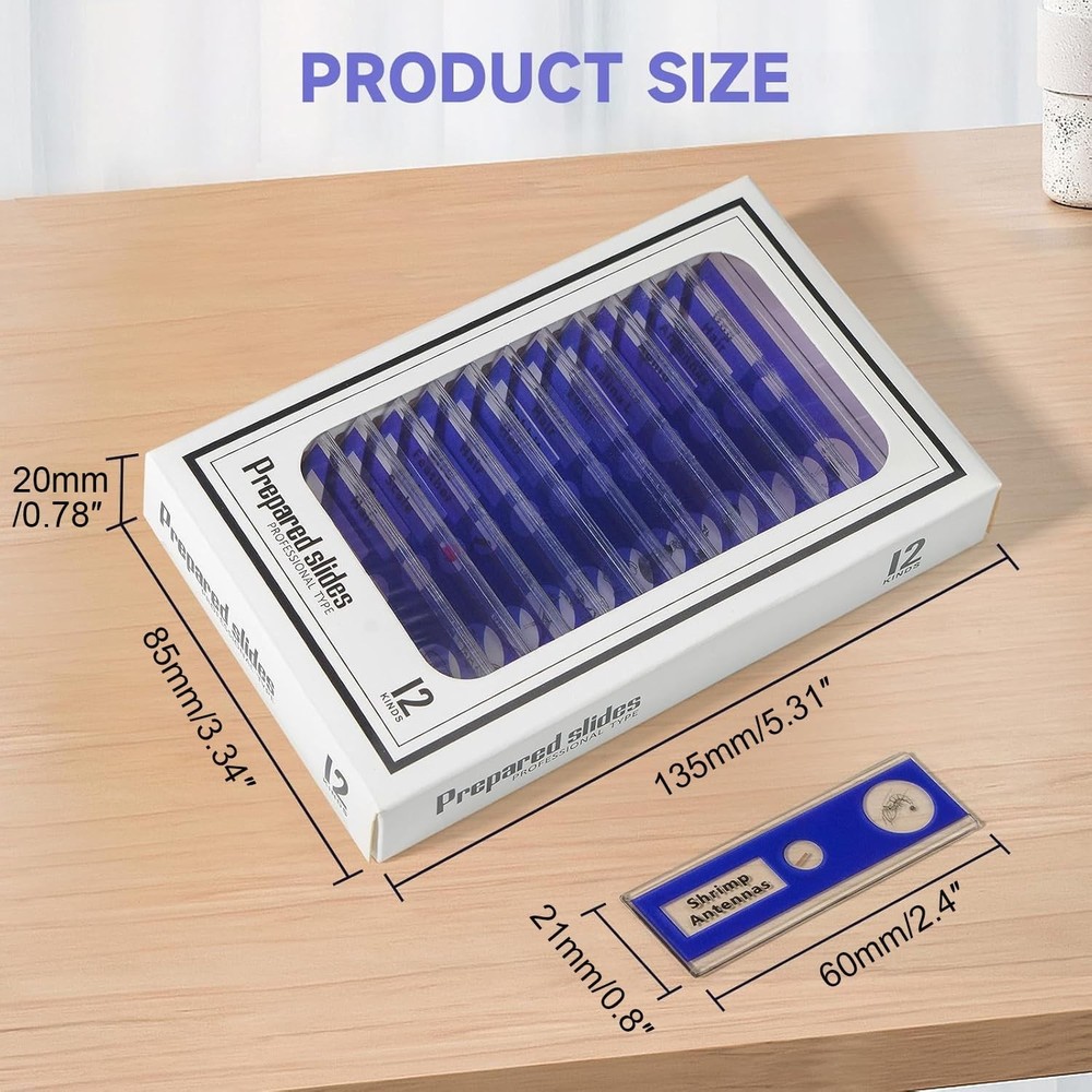 48-Pack Microscope Slides Featuring Plants, Insects - Perfect for STEM Learning