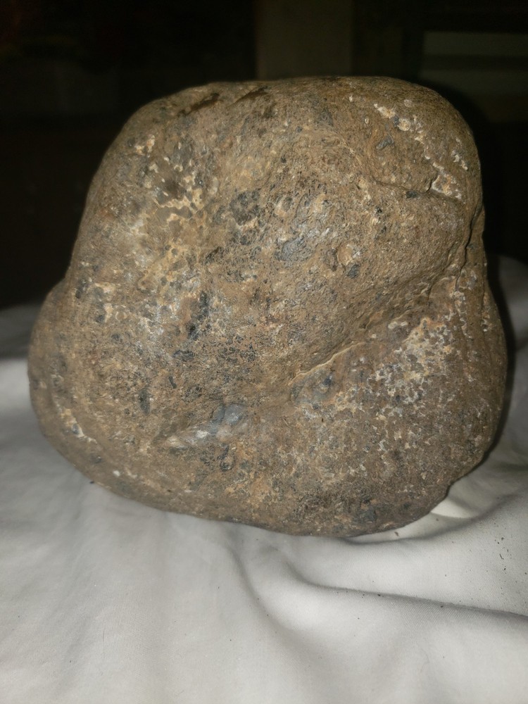 Conglomerate boulder from California