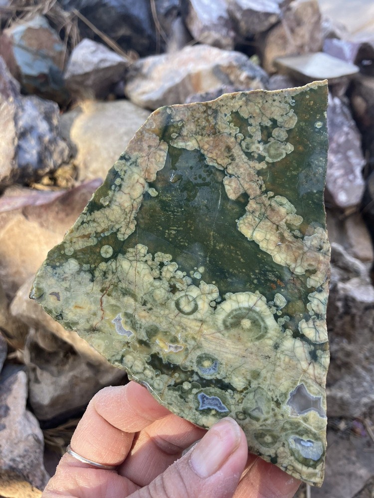 Rainforest Jasper Slab