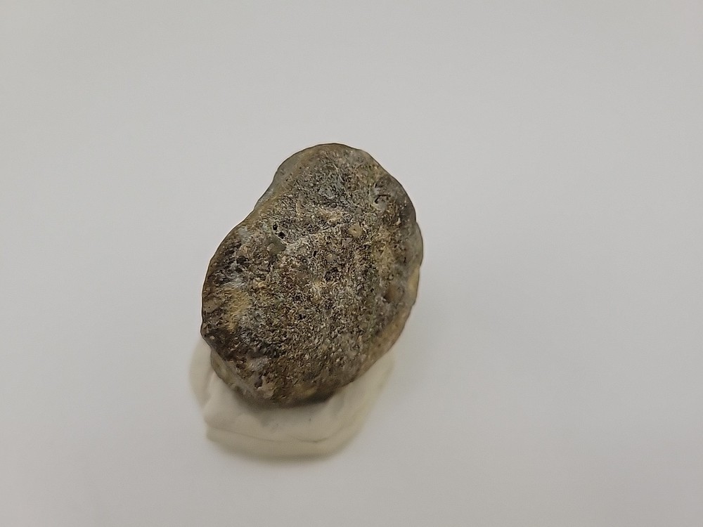 Real Permineralized Dinosaur Half Egg Embro Uv Reactive