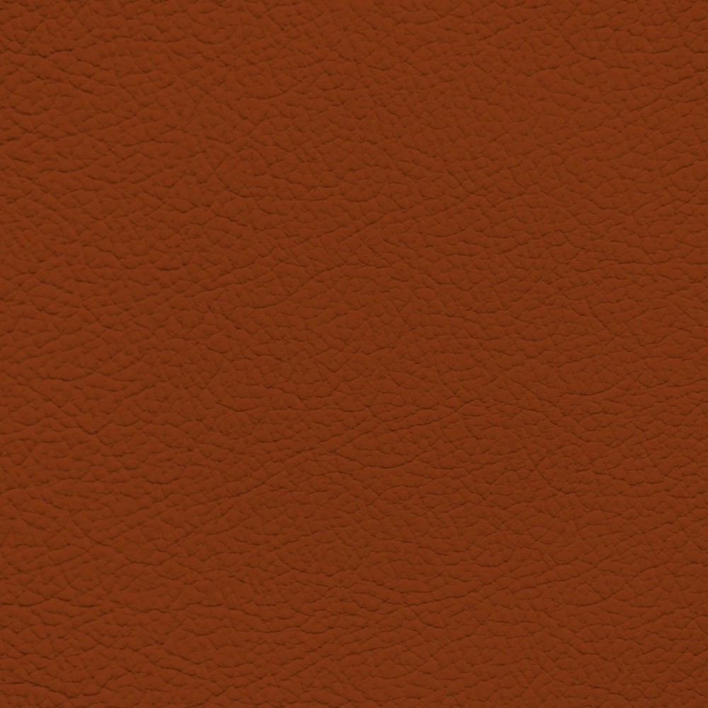 Audi Mokassin Leather Dye