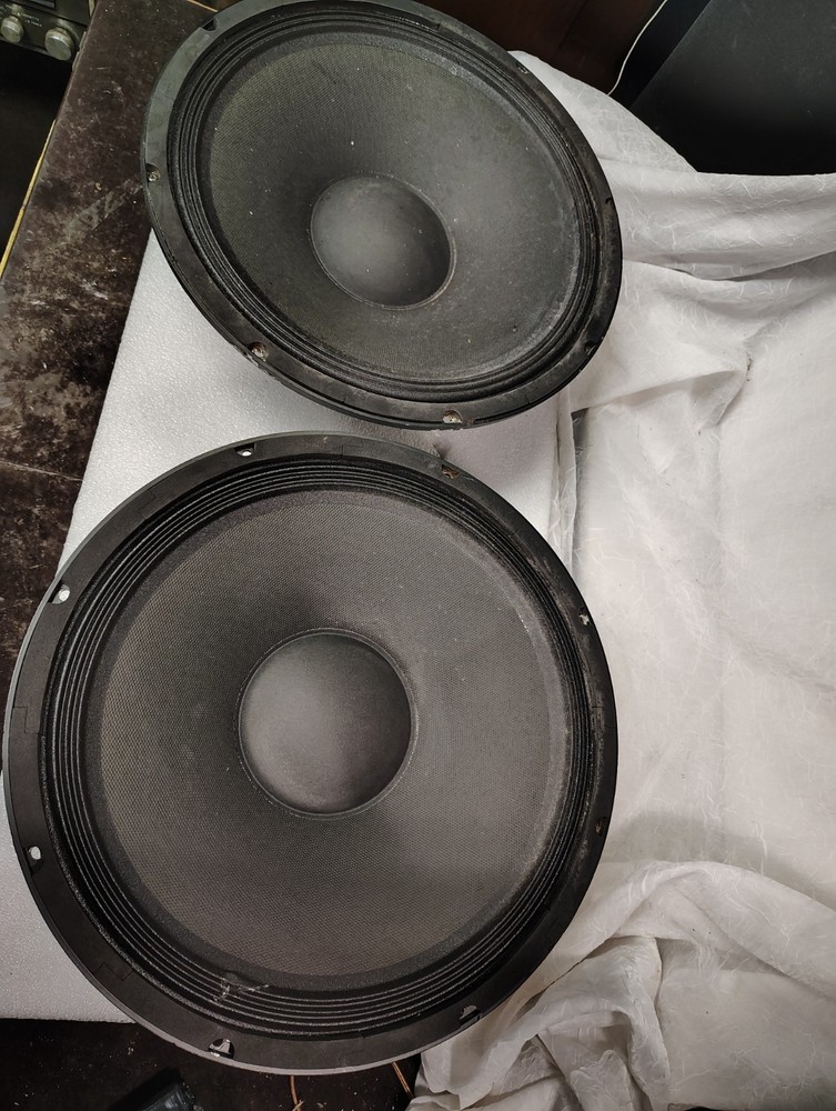 EAP-15D speaker woofers, one pair