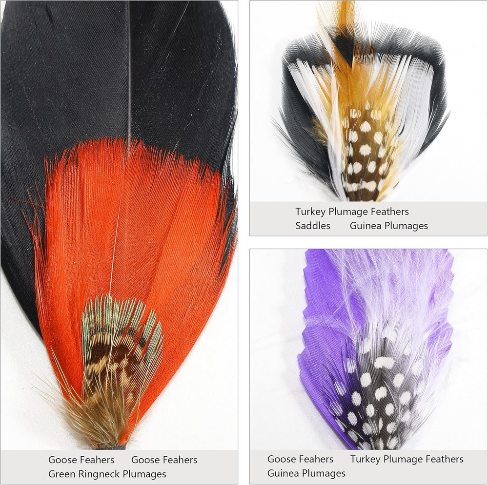 Hat Feathers 20 Styles Natural Assorted Feathers for Fedora Hats Accessories DIY