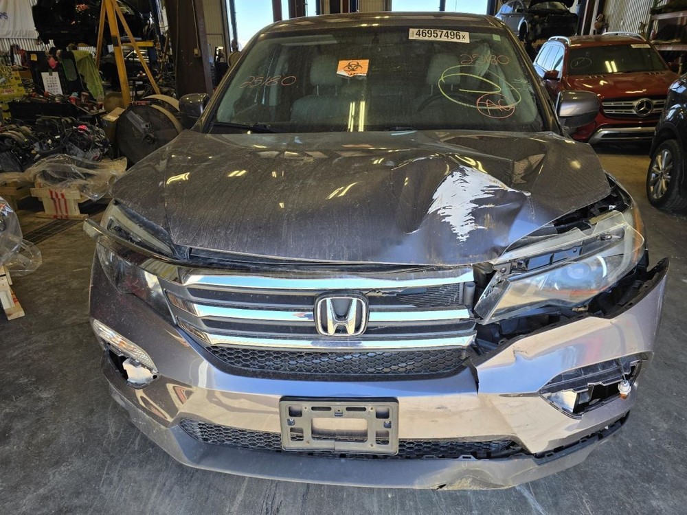 PILOT 2017 Jack 1552265