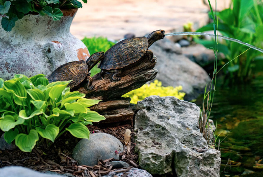 Aquascape Double Turtle on Log Spitter 78372