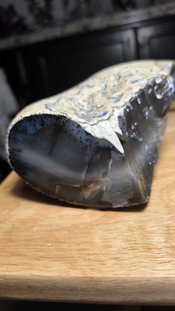 Montana Agate Rough 2lbs. 11oz.