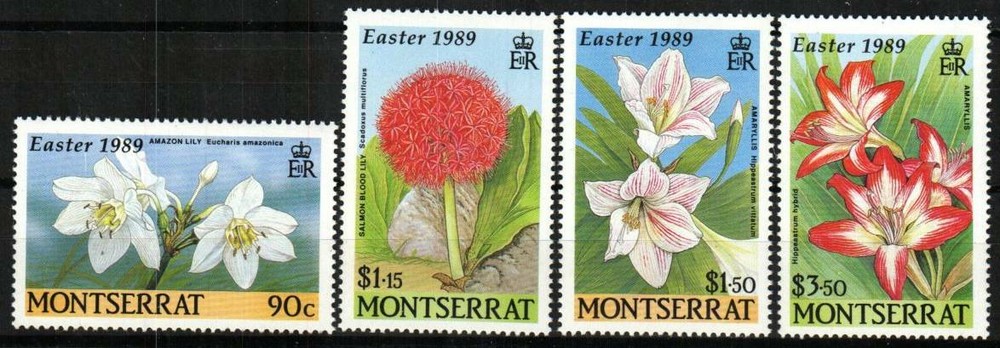 Montserrat Stamp 712-715 - 89 Easter Lillies