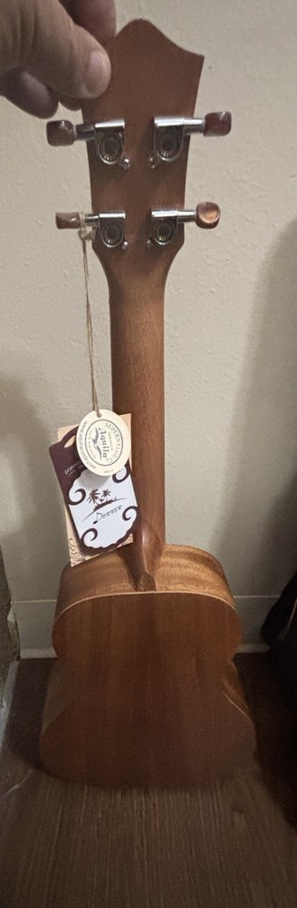 Donner Model DUC-1 Ukulele in Case