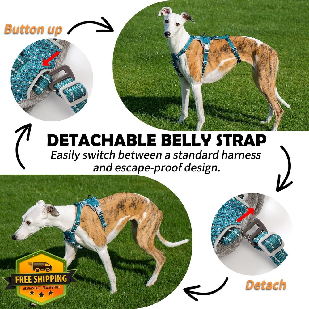 Huntboo Escape Proof Dog Harness Teal M No Pull Reflective