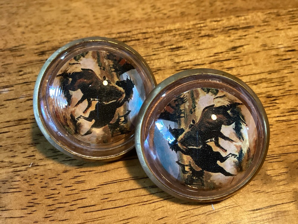 Horse Bridle Rosettes/ Buttons / Conchos