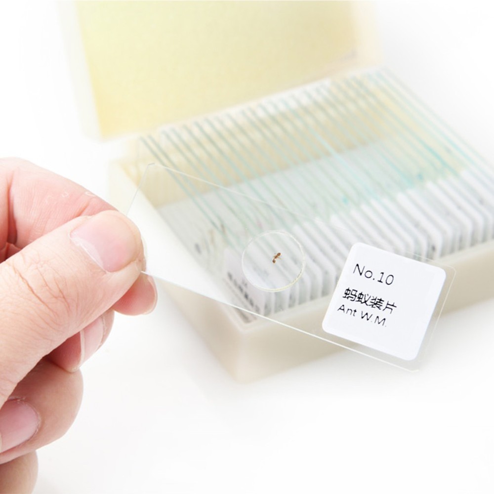 10 PCS/Set Microscope Slide Kit Microscopic Lab Kids Slides with Specimens