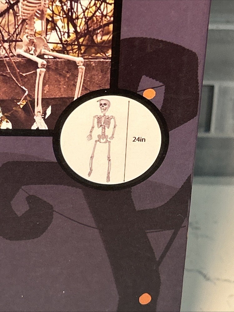 Halloween Posable Hanging 24” Tall Skelton With Movable Joints