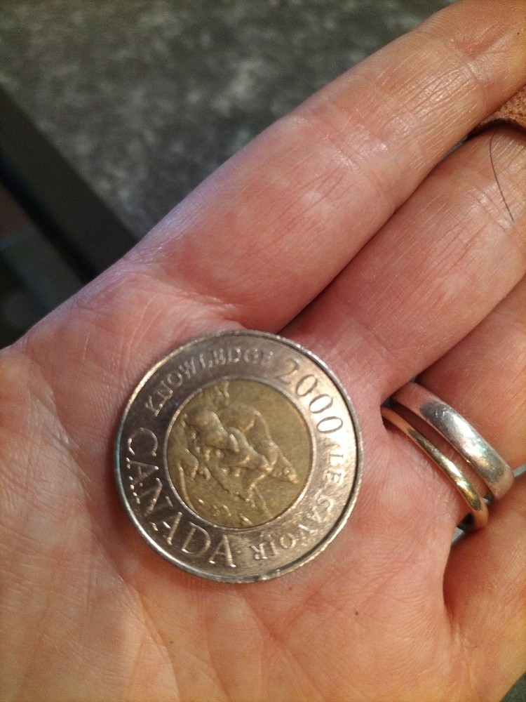 2000 Canada Knowledge Toonie Two Dollar Canadian Canada Coin