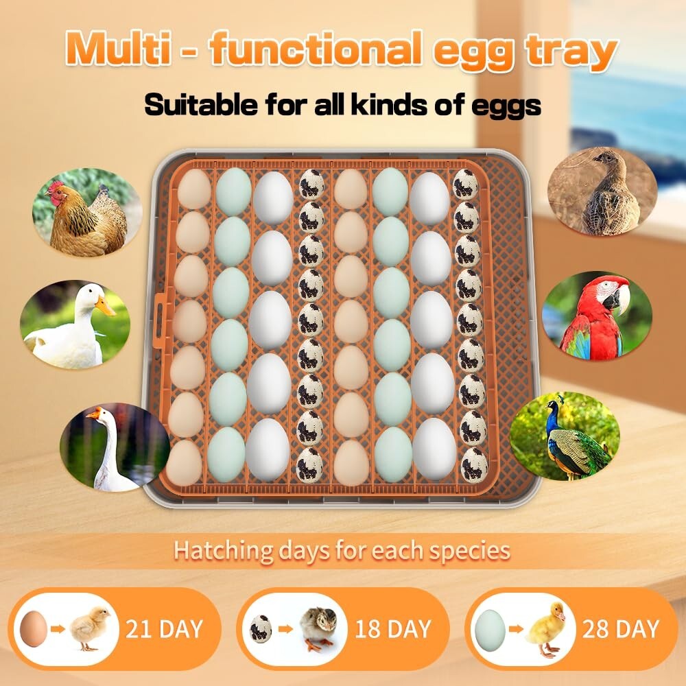 New Automatic Egg Incubators 56 Egg Turning Egg Hatching Temp & Humidity Control