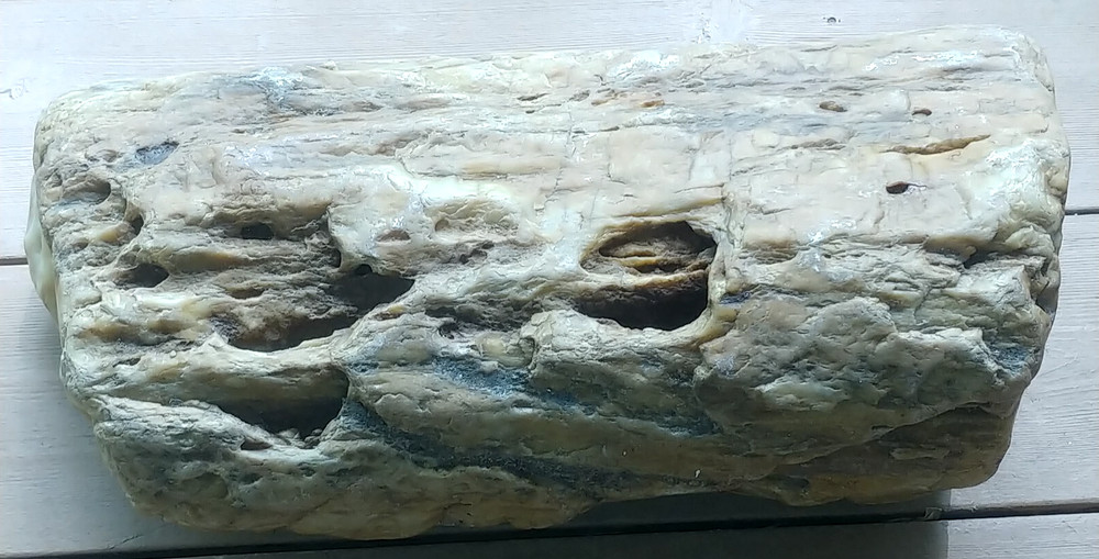 Petrified Wood or Rock