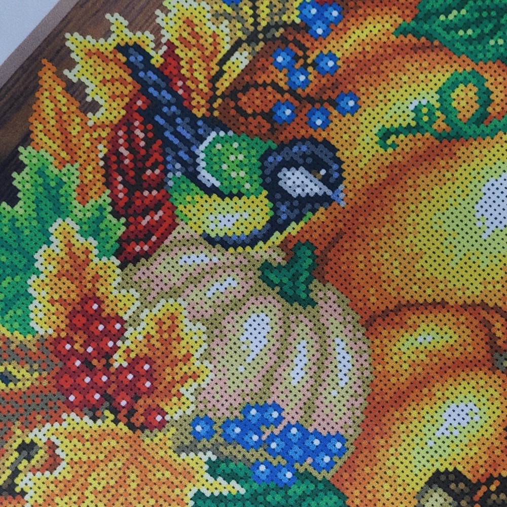 Pumpkins Bead Embroidery Scheme on Canvas DIY Stamped Printed Pattern T-1283