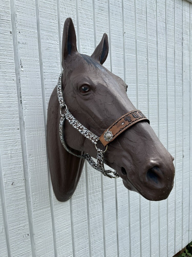 Personalized Nylon Horse Halter