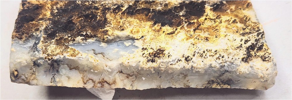 Graveyard Point Plume Agate Large Slab for Cab Cutting Rough