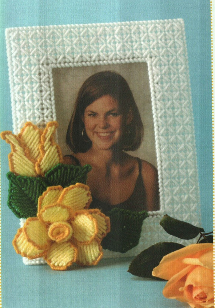 ROSE FRAME HOME DECOR PLASTIC CANVAS PATTERN INSTRUCTIONS