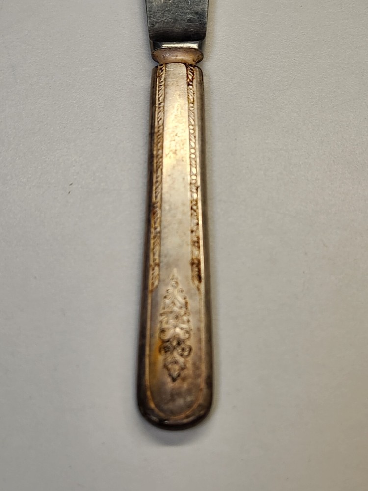 Wm Rogers Silverplate Flatware ~ 9" Dinner Knife
