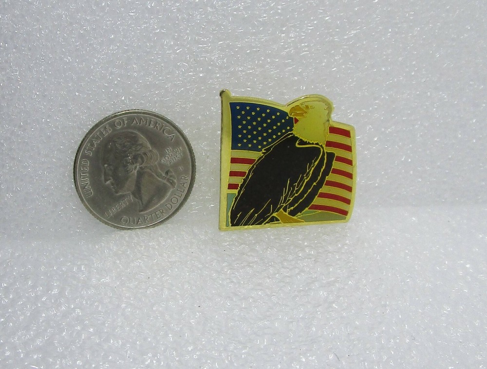United States Flag Eagle Pin