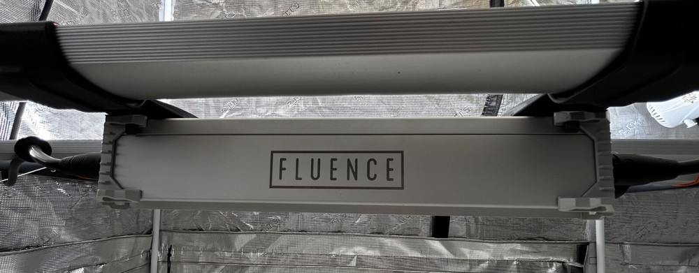 Fluence Spyder Fang 600W LED