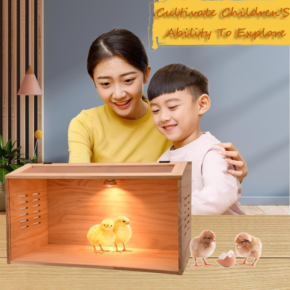 Brooder Box for Chicks Chicken Heater Poultry Brooder 19.7*12*12 inch