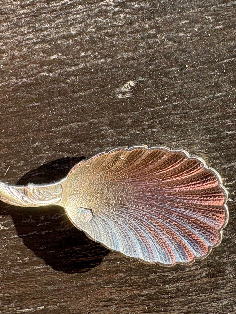 Antique 800 Silver Mini Spoon Shell Bowl Apothecary Poison 2.75in