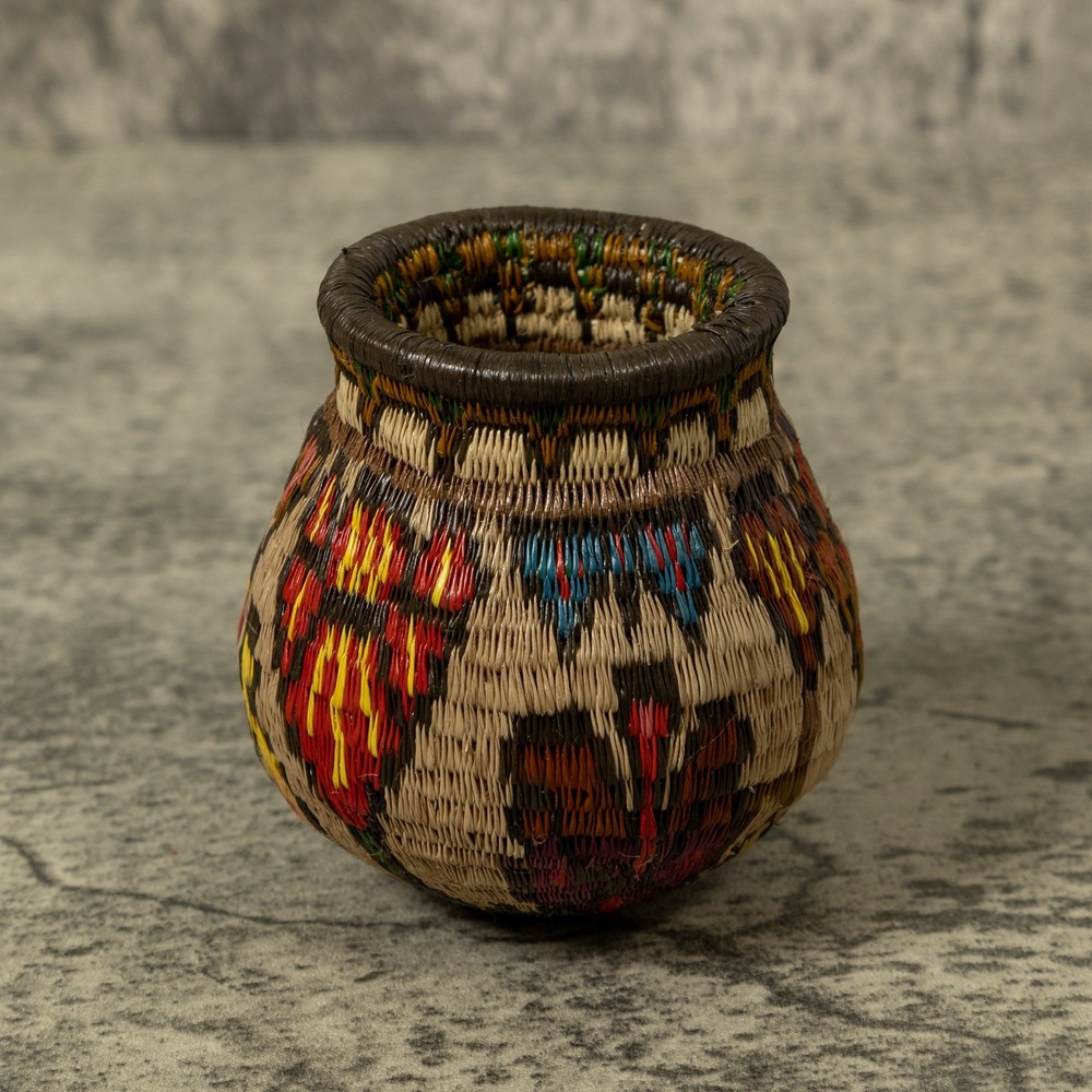 Shoeblackplant Rainforest Basket