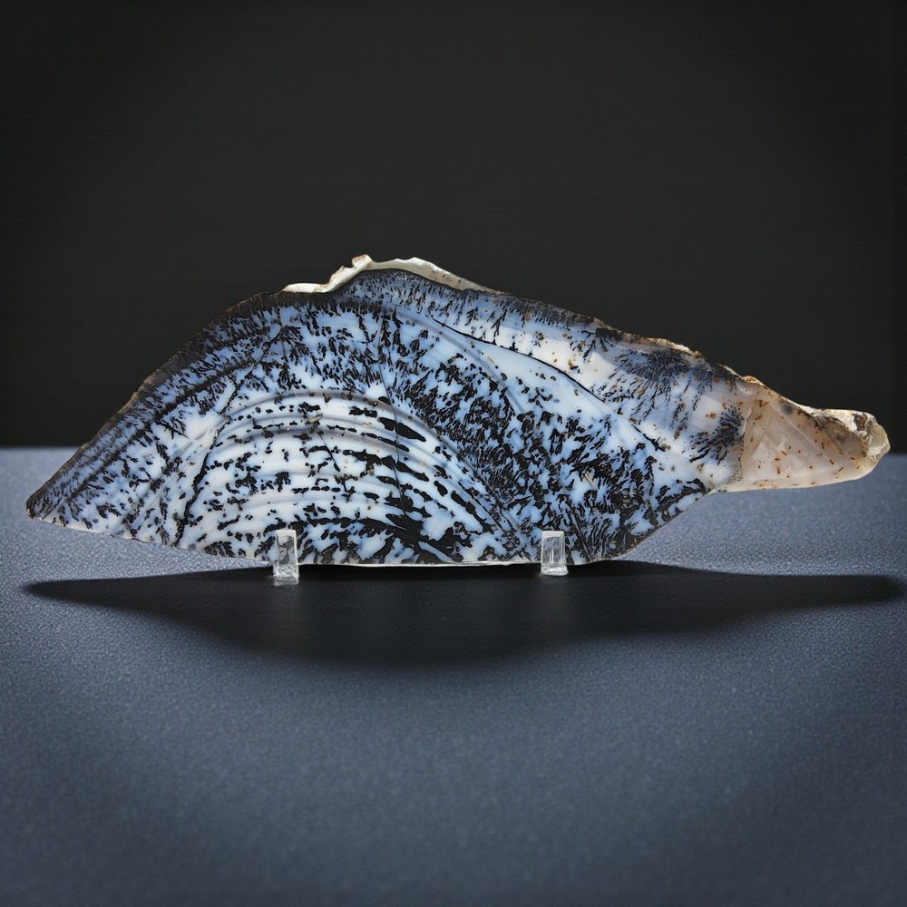 Parral Dendritic Agate, cabbing rough, lapidary, #R-6826