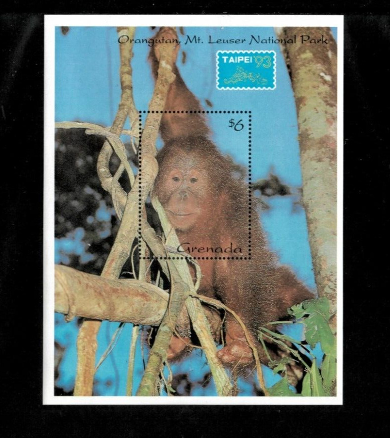 Grenada 1993 - Orangutans - Souvenir Stamp Sheet - Scott #2225 - MNH