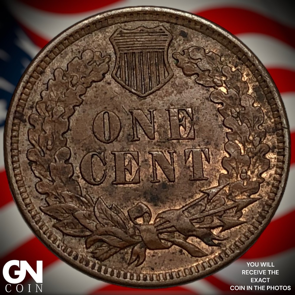 1906 Indian Head Cent Penny M1683