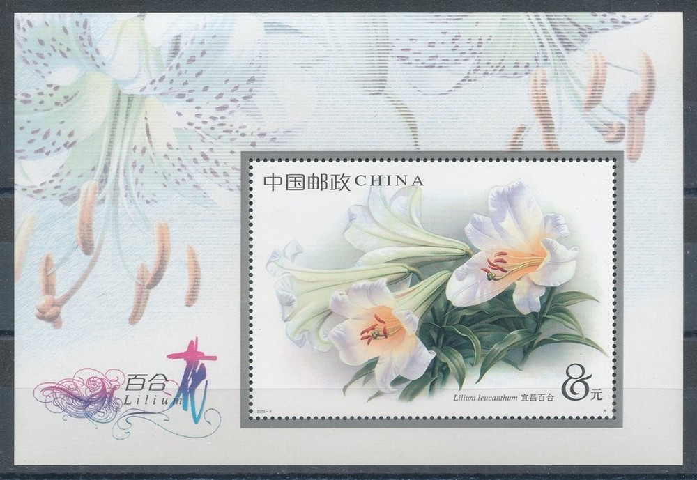 750599) PRC Block 110** Lilies