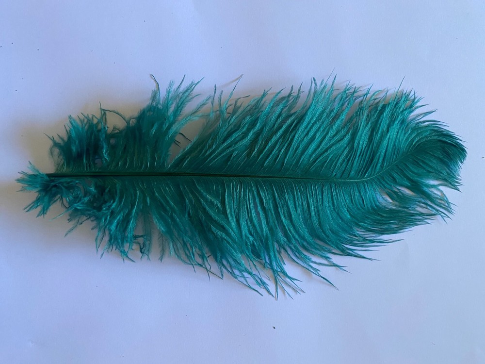 Ten (10 ) teal first grade drab's ostrich feathers 28-32cm