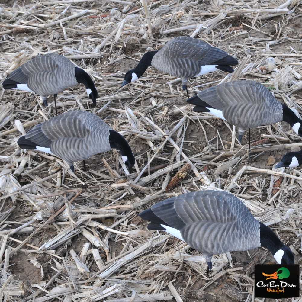 AVERY OUTDOORS GHG PRO GRADE LESSER CANADAS - HARVESTER PACK DOZEN