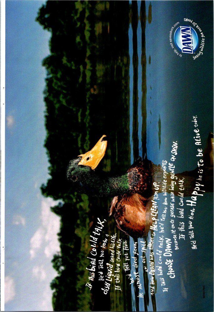 Dawn Saving Wildlife Original Vintage Print Ad