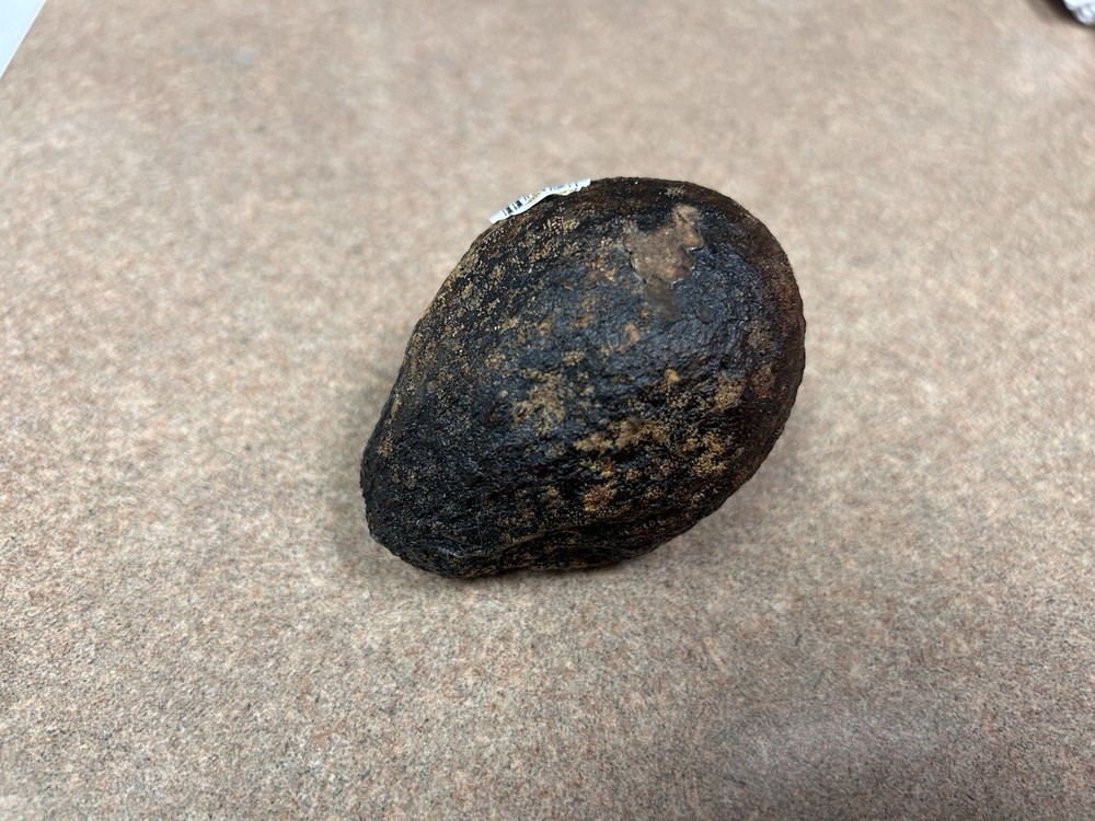 Avocado Stone
