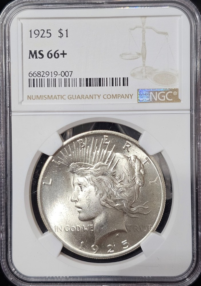 1925 Peace Dollar MS-66+ NGC COLLECTION VIDEO