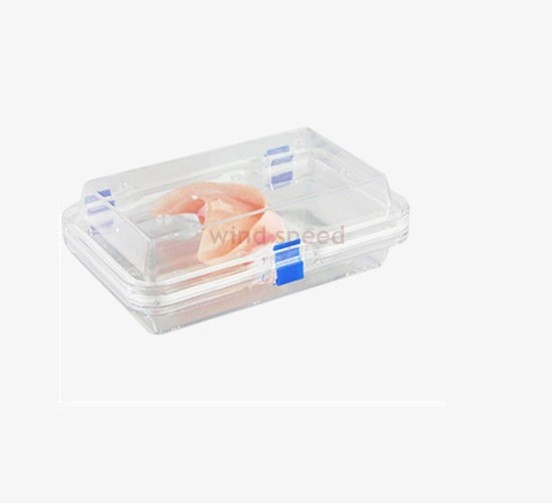 2Pcs Hinged Display Box Clear Membrane storage Boxes Denture False Teeth Case