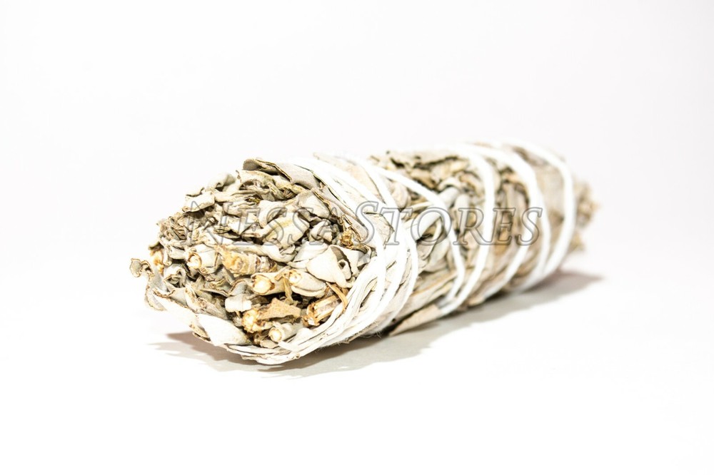NessaStores- White Sage 4" & Abalone Shell 4" - 5" (1 Kit)