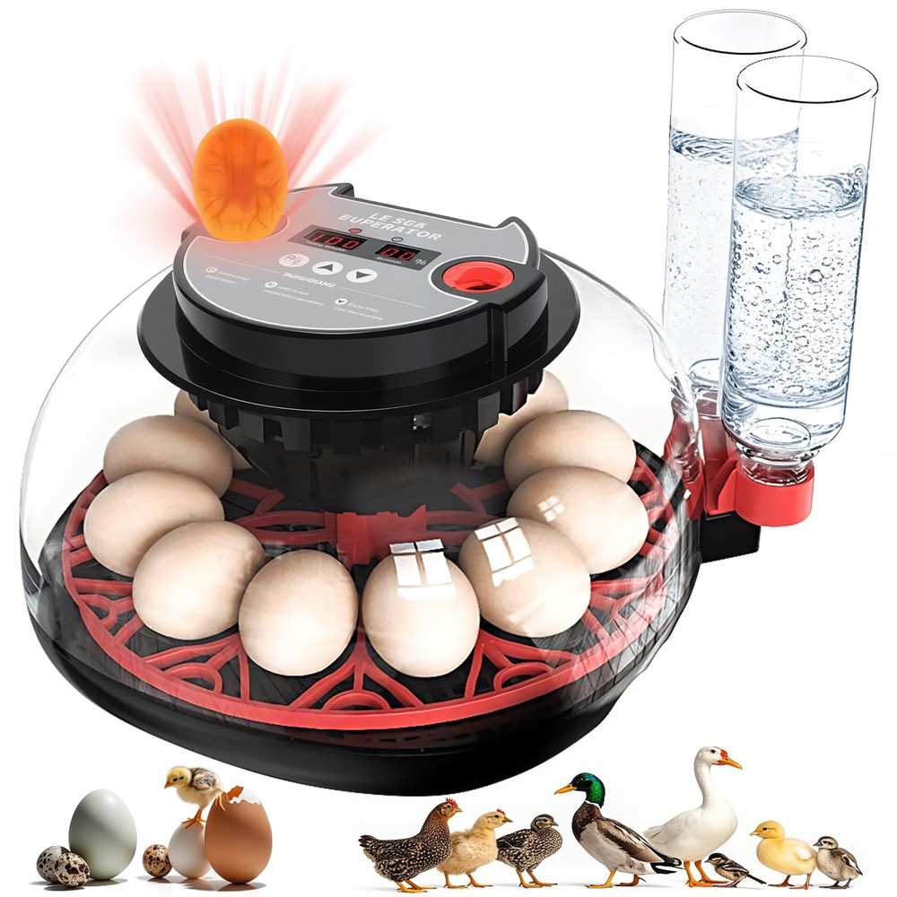 12 Egg Incubators for Hatching Eggs Automatic Egg Incubator with Temperature Con