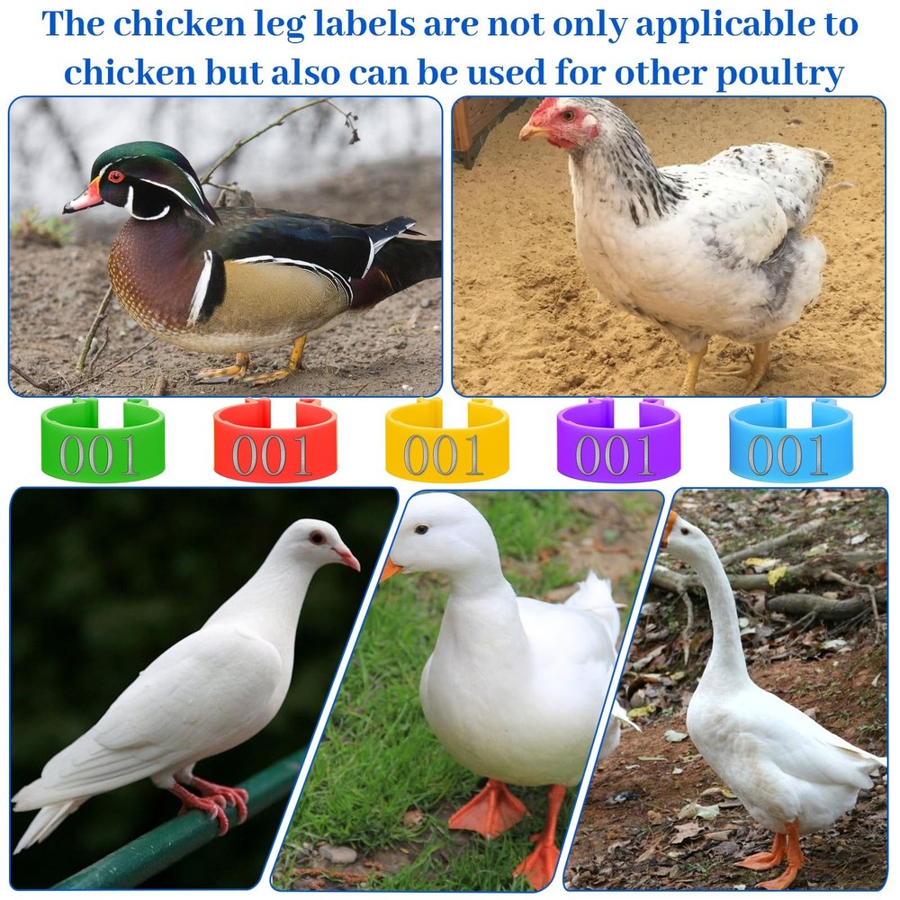 Macuezu 100 PCS Numbered Chicken Bands with Code, Plastic Colorful Chicken Le...