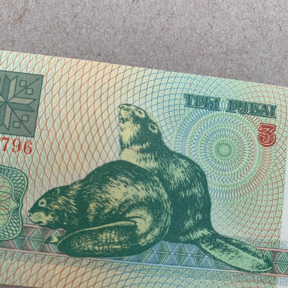 🇧🇾 Belarus 1992 3 Rubles Banknote BEAVERS UNC Belarussian Currency Ex Soviet