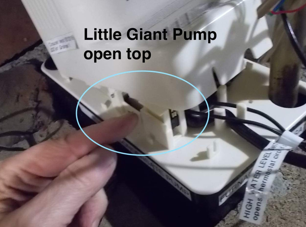 Condensate Pump Switch Zingear G606 or 83133169