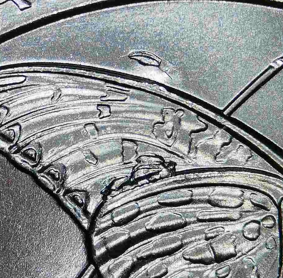 Die Chips Errors - 2020 Tallgrass Prairie ATB Quarter - On/Above Wings