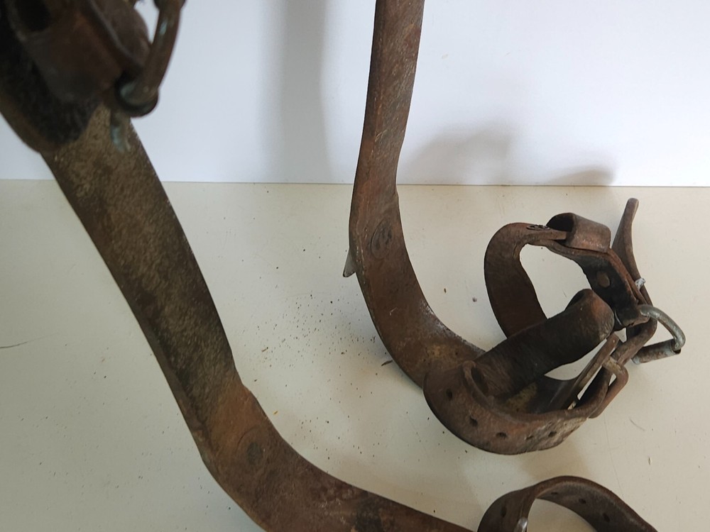 Vintage Buckingham Climbing Spikes Gaffs 17