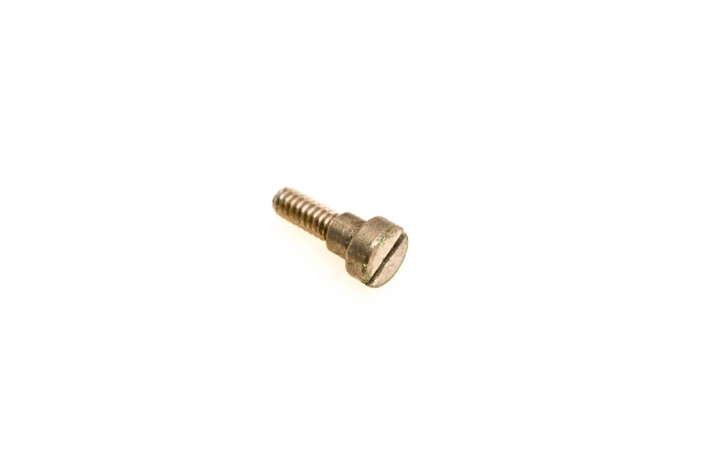 OMC 310072 Screw NOS